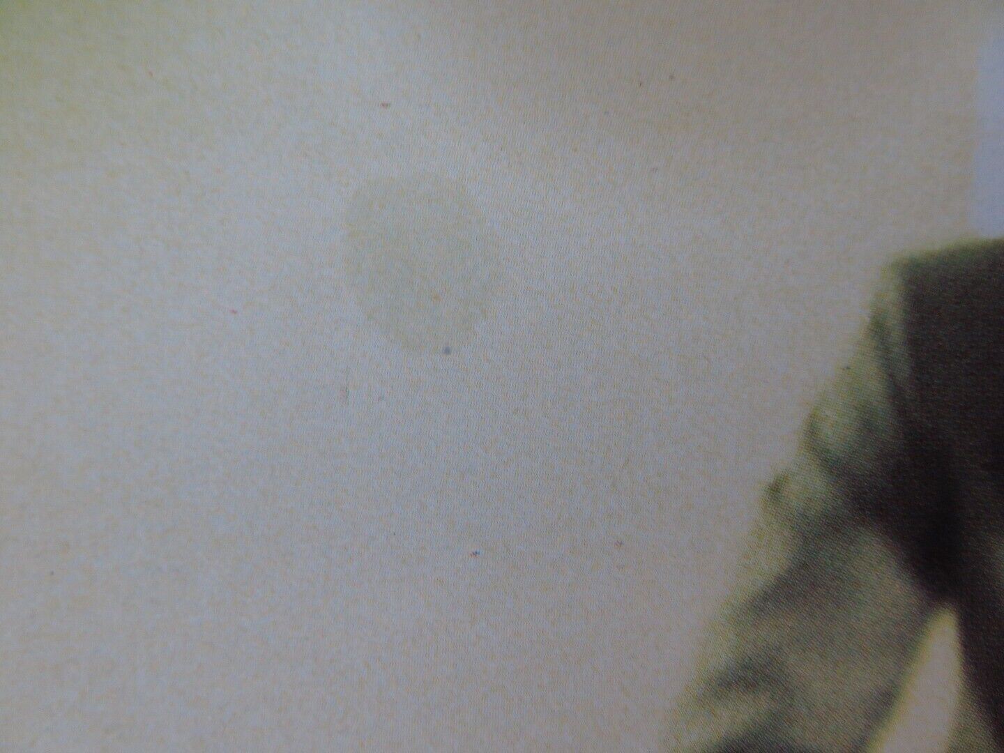 THE WHISTLE BLOWER - D LOBBY CARD NIGEL HAVERS MICHAEL CAINE 1986 Rendezvous Cinema Movie posters