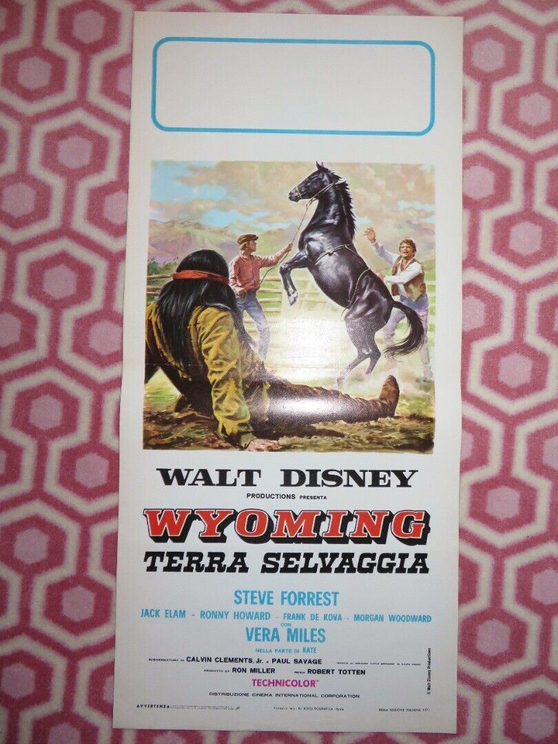 THE WILD COUNTRY ITALIAN LOCANDINA (27.5"x13") POSTER DISNEY 1971 Movie posters