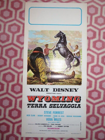 THE WILD COUNTRY ITALIAN LOCANDINA (27.5"x13") POSTER DISNEY 1971 Movie posters