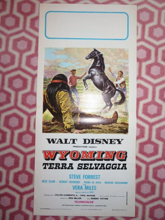 THE WILD COUNTRY ITALIAN LOCANDINA (27.5"x13") POSTER DISNEY 1971 Movie posters