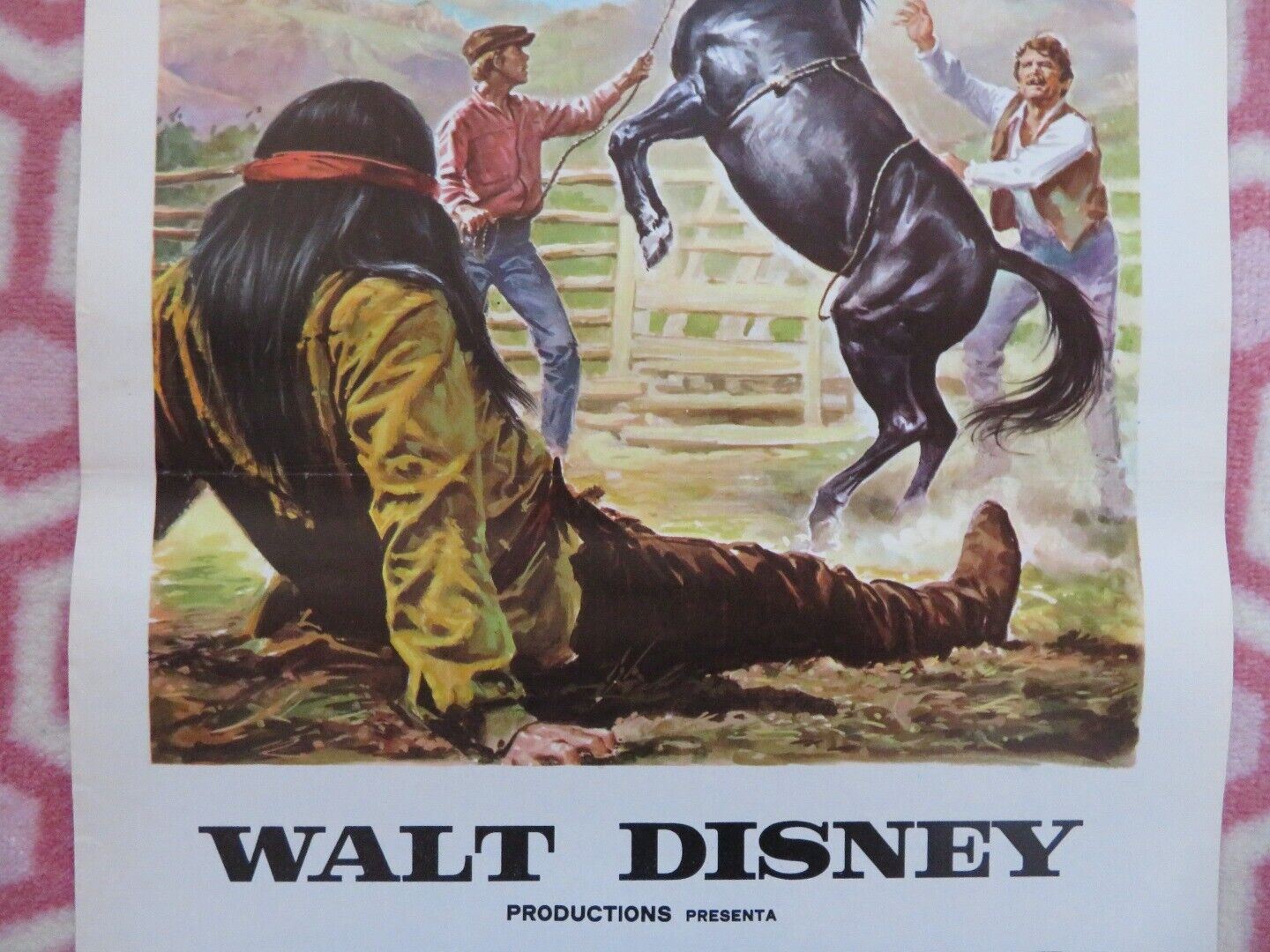 THE WILD COUNTRY ITALIAN LOCANDINA (27.5"x13") POSTER DISNEY 1971 Movie posters