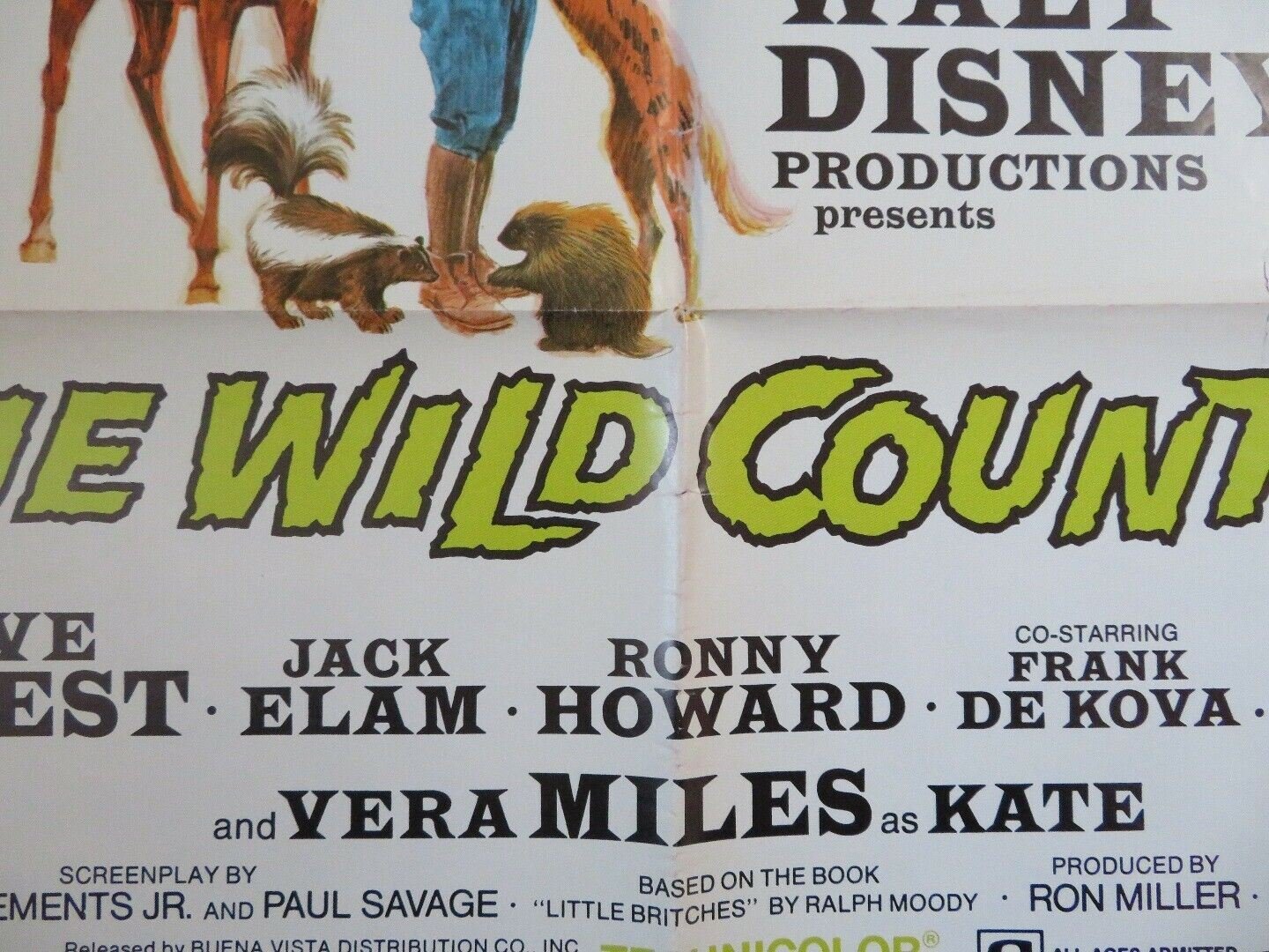 THE WILD COUNTRY ONE SHEET POSTER DISNEY STEVE FORREST VERA MILES Movie posters
