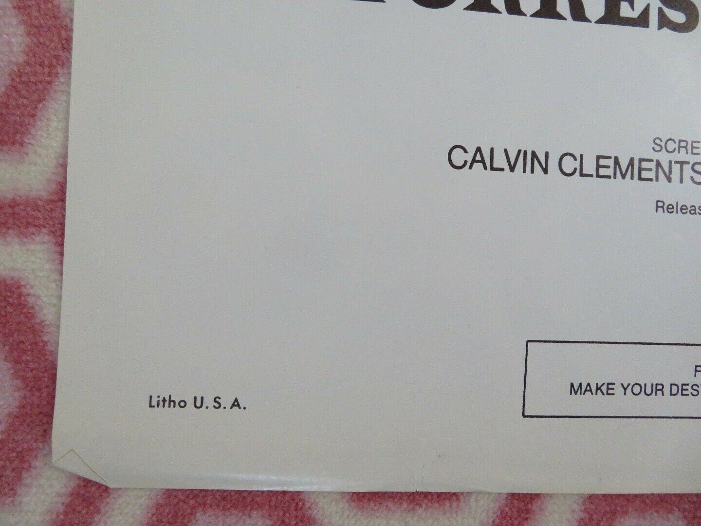 THE WILD COUNTRY ONE SHEET POSTER DISNEY STEVE FORREST VERA MILES Movie posters