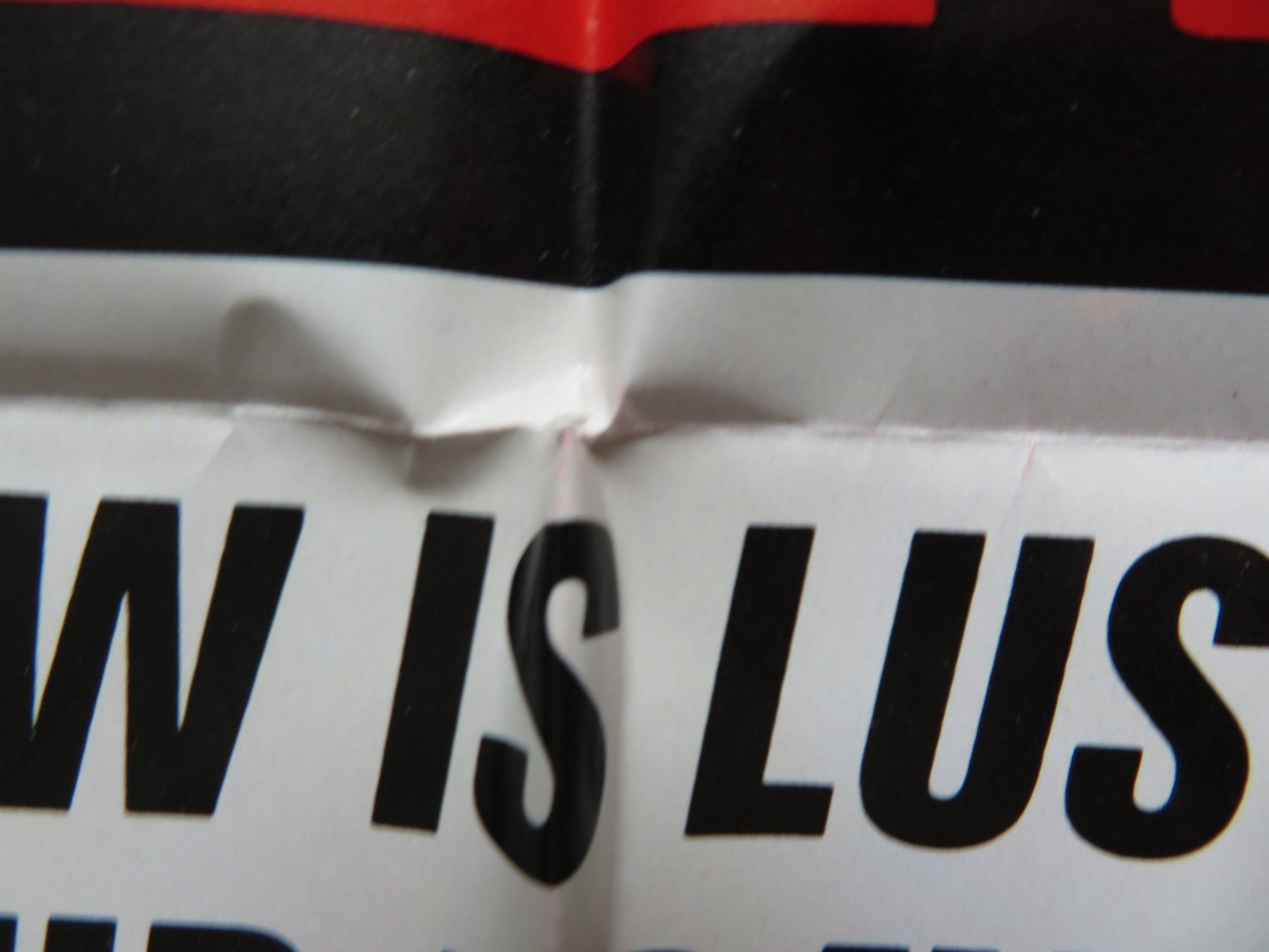 THE WILD PACK FOLDED US ONE SHEET POSTER KENT LANE TISHA STERLING 1972 Rendezvous Cinema Movie posters