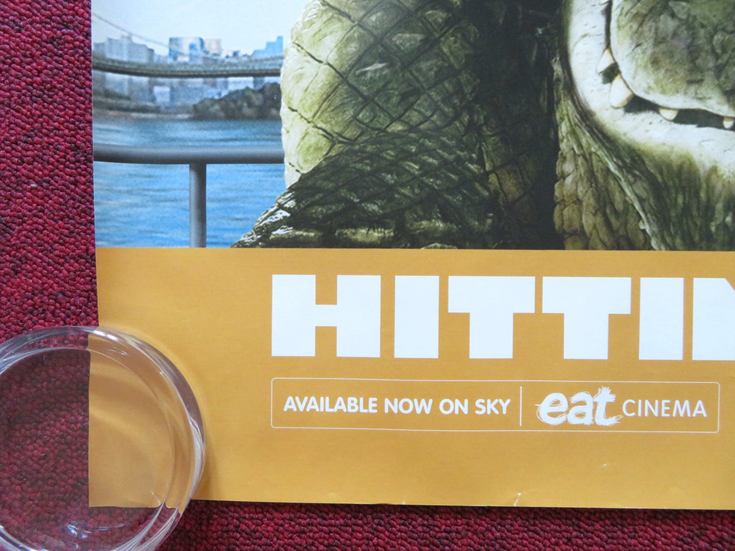 THE WILD UK QUAD (30"x 40") ROLLED POSTER DISNEY KIEFER SUTHERLAND 2006 Rendezvous Cinema Movie posters