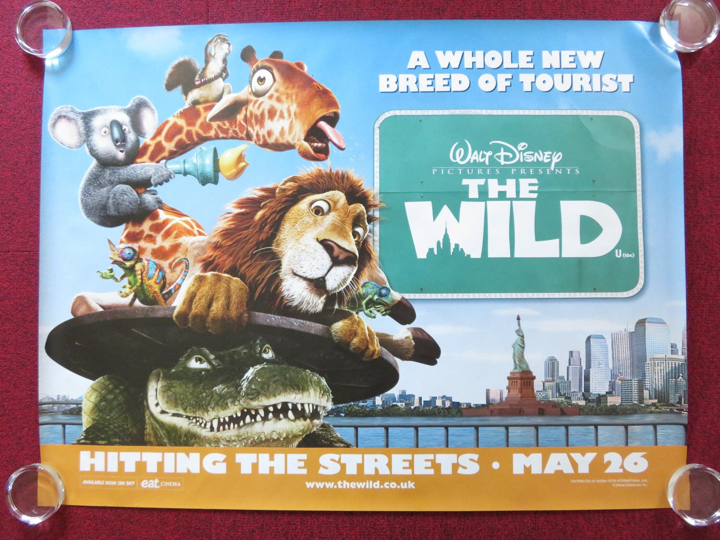 THE WILD UK QUAD (30"x 40") ROLLED POSTER DISNEY KIEFER SUTHERLAND 2006 Rendezvous Cinema Movie posters