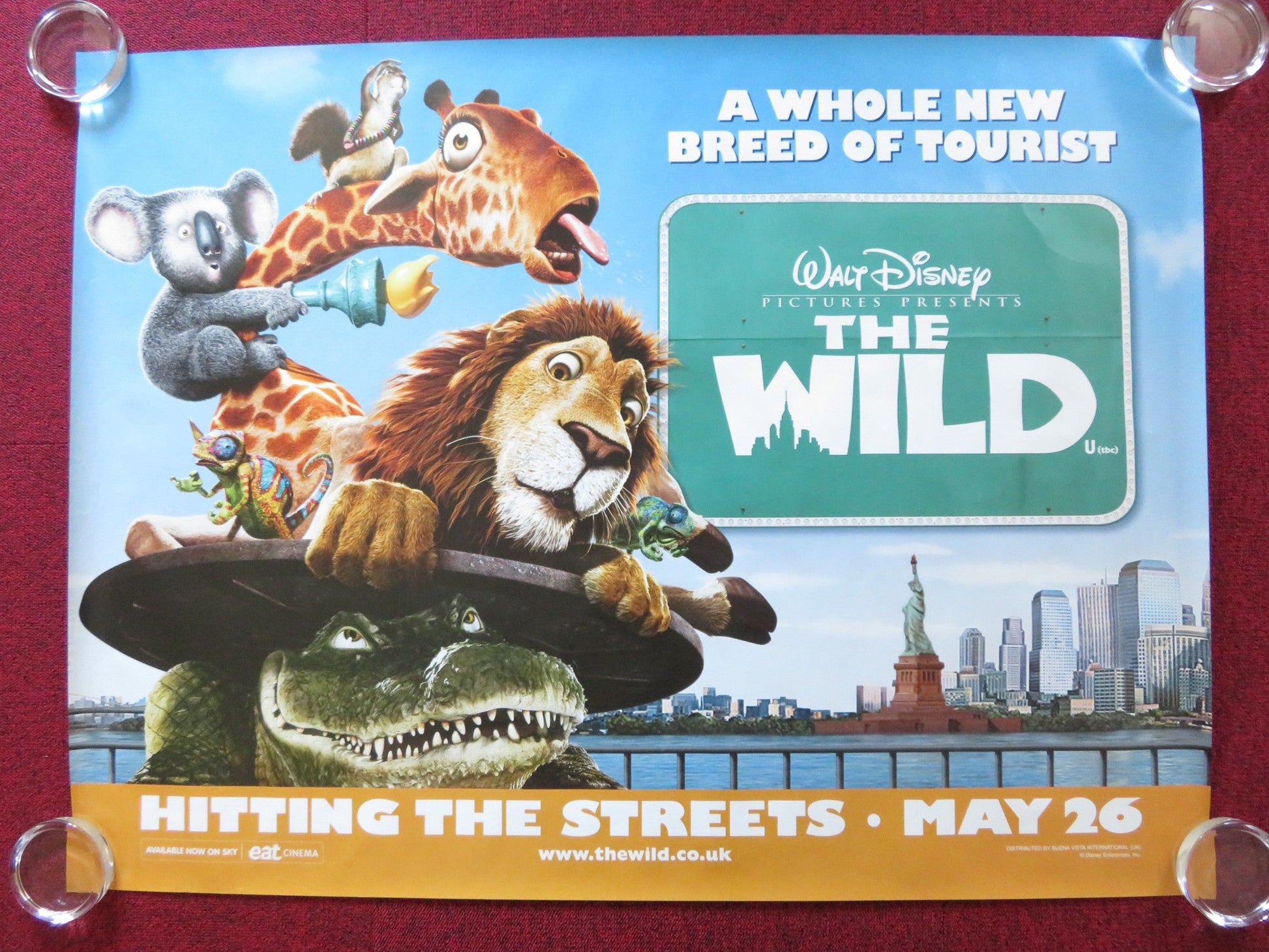 THE WILD UK QUAD (30"x 40") ROLLED POSTER DISNEY KIEFER SUTHERLAND 2006 Rendezvous Cinema Movie posters