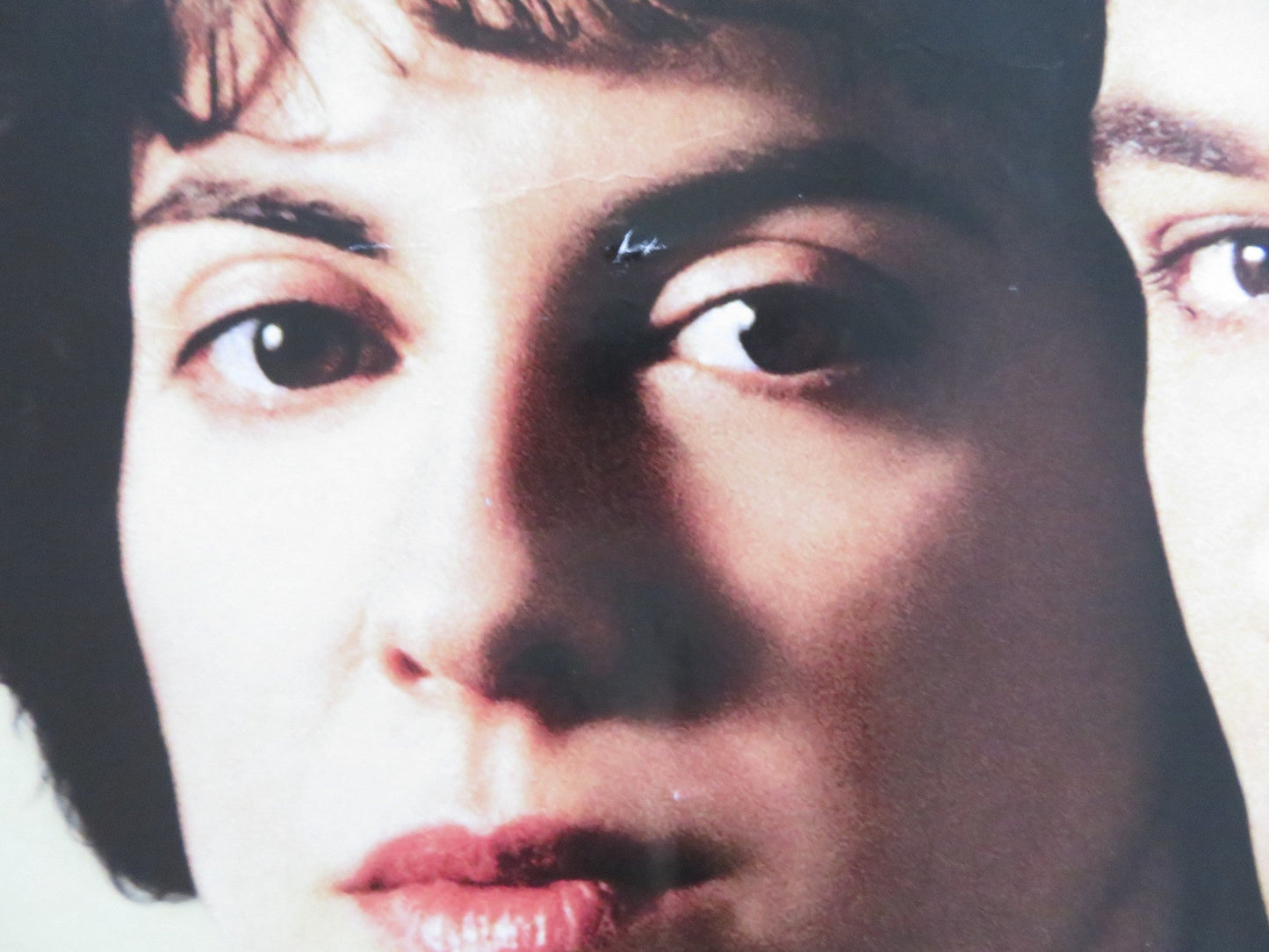 THE WINSLOW BOY UK QUAD (30"x 40") ROLLED POSTER MATTHEW PIDGEON R. PIDGEON 1999 Rendezvous Cinema Movie posters