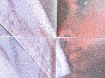 THE WOLF AT THE DOOR FOLDED US ONE SHEET POSTER DONALD SUTHERLAND 1986 Rendezvous Cinema Movie posters