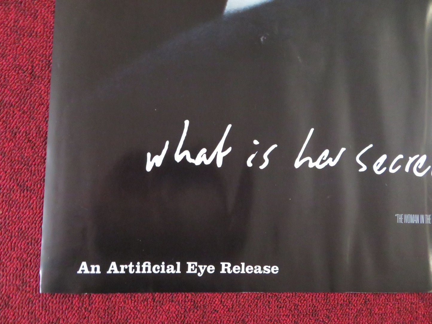 THE WOMAN IN THE FIFTH UK QUAD (30"x 40") ROLLED POSTER ETHAN HAWKE 2011 Rendezvous Cinema Movie posters