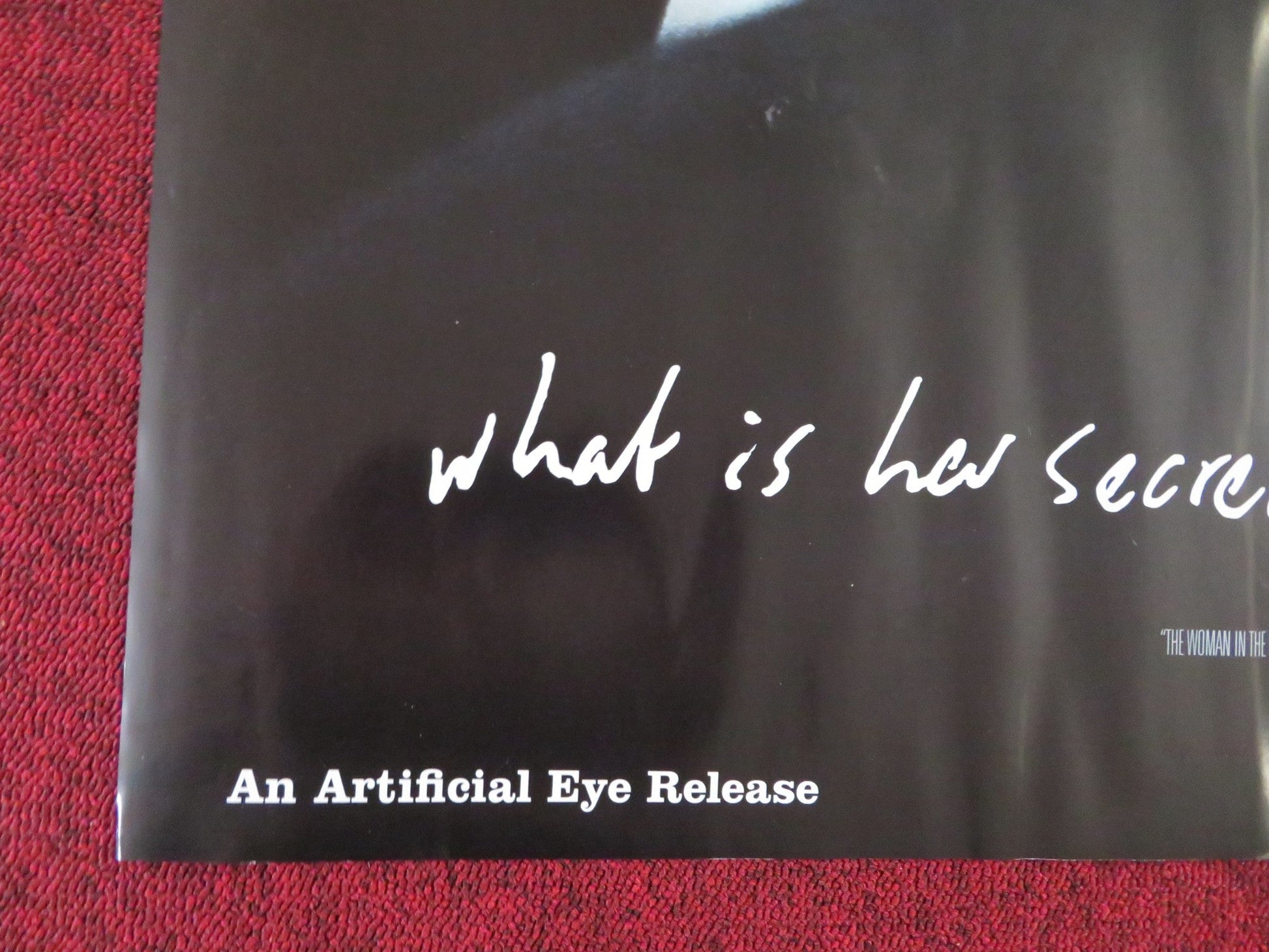 THE WOMAN IN THE FIFTH UK QUAD (30"x 40") ROLLED POSTER ETHAN HAWKE 2011 Rendezvous Cinema Movie posters