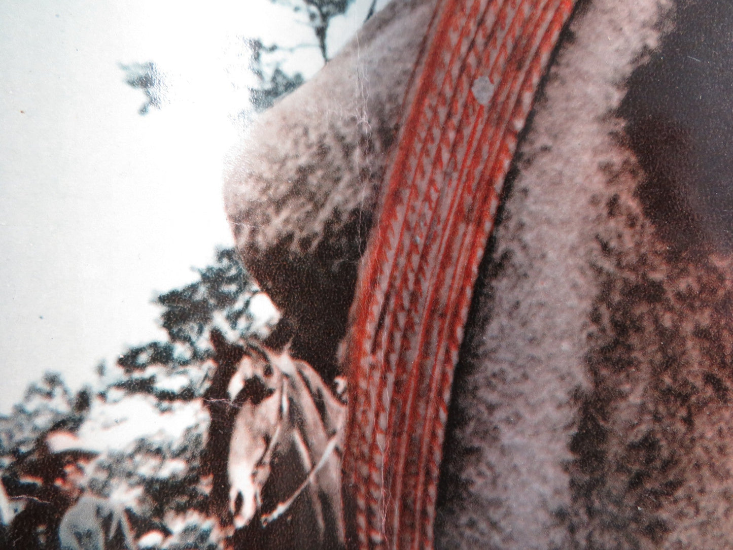 THE WONDERFUL COUNTRY - A ITALIAN FOTOBUSTA POSTER ROBERT MITCHUM LONDON 1960 Rendezvous Cinema Movie posters