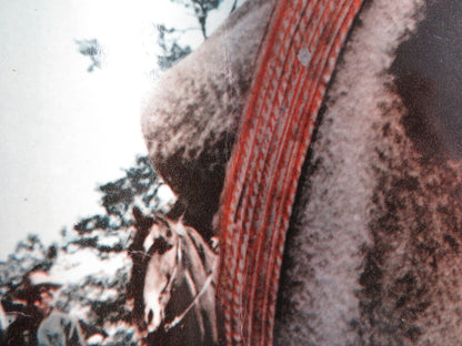 THE WONDERFUL COUNTRY - A ITALIAN FOTOBUSTA POSTER ROBERT MITCHUM LONDON 1960 Rendezvous Cinema Movie posters