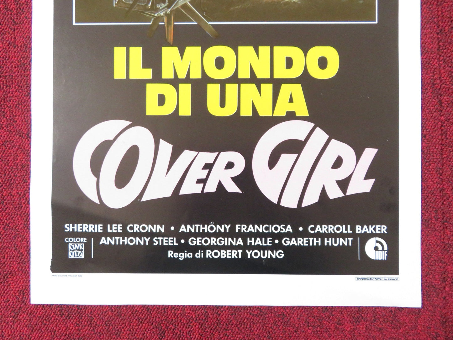 THE WORLD IS FULL OF MARRIED MEN ITALIAN LOCANDINA POSTER SHERRIE LEE CRONN 1983 Rendezvous Cinema Movie posters