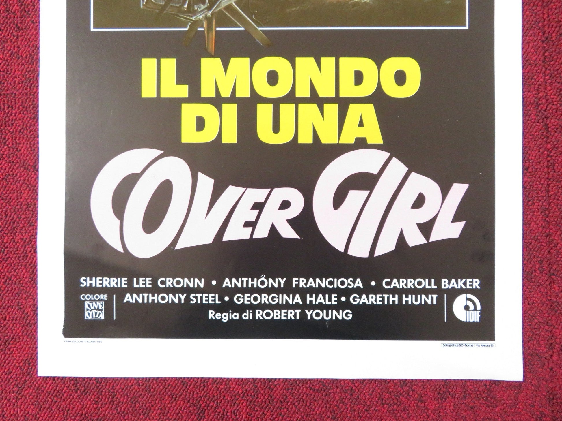 THE WORLD IS FULL OF MARRIED MEN ITALIAN LOCANDINA POSTER SHERRIE LEE CRONN 1983 Rendezvous Cinema Movie posters