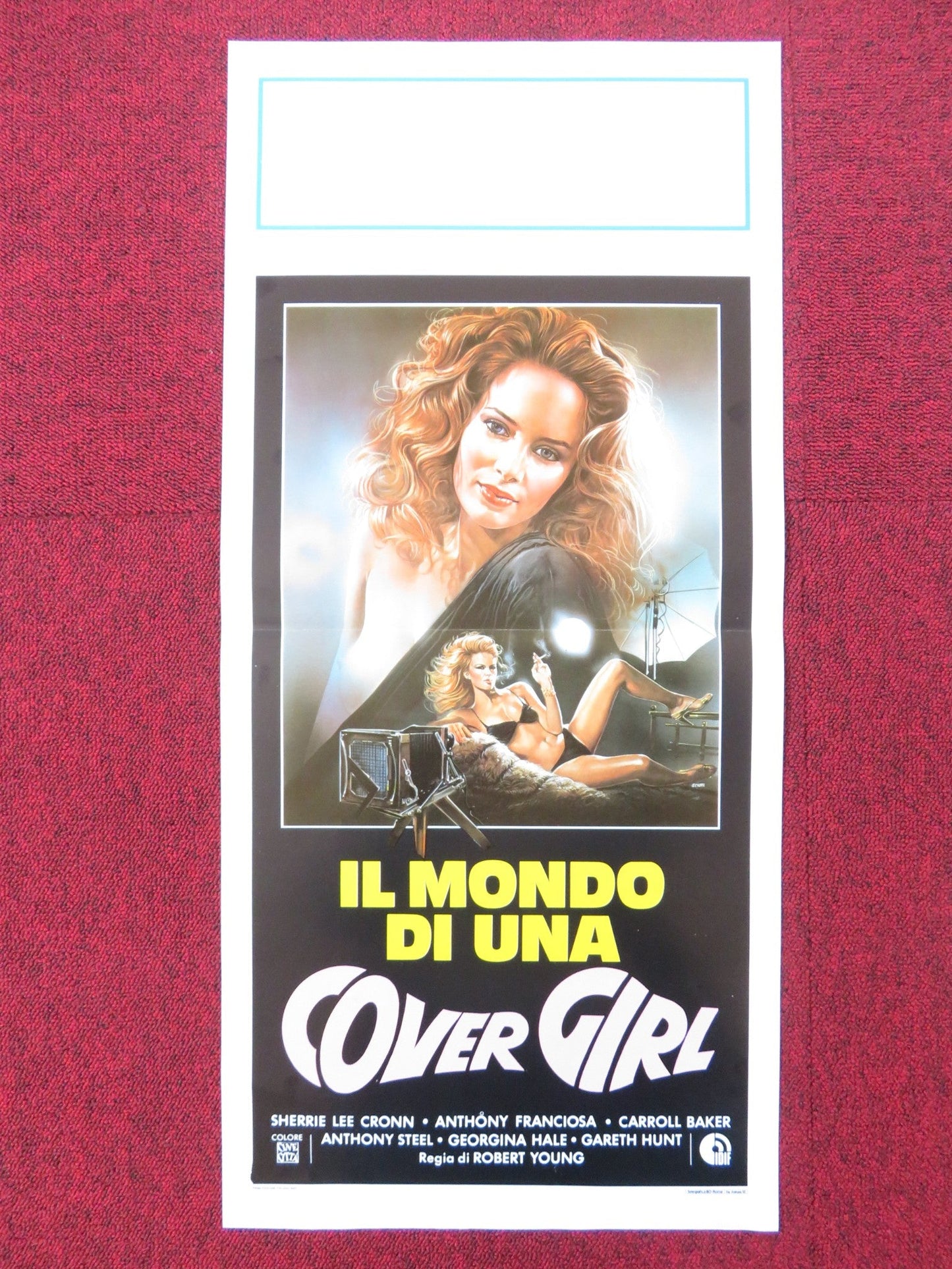 THE WORLD IS FULL OF MARRIED MEN ITALIAN LOCANDINA POSTER SHERRIE LEE CRONN 1983 Rendezvous Cinema Movie posters