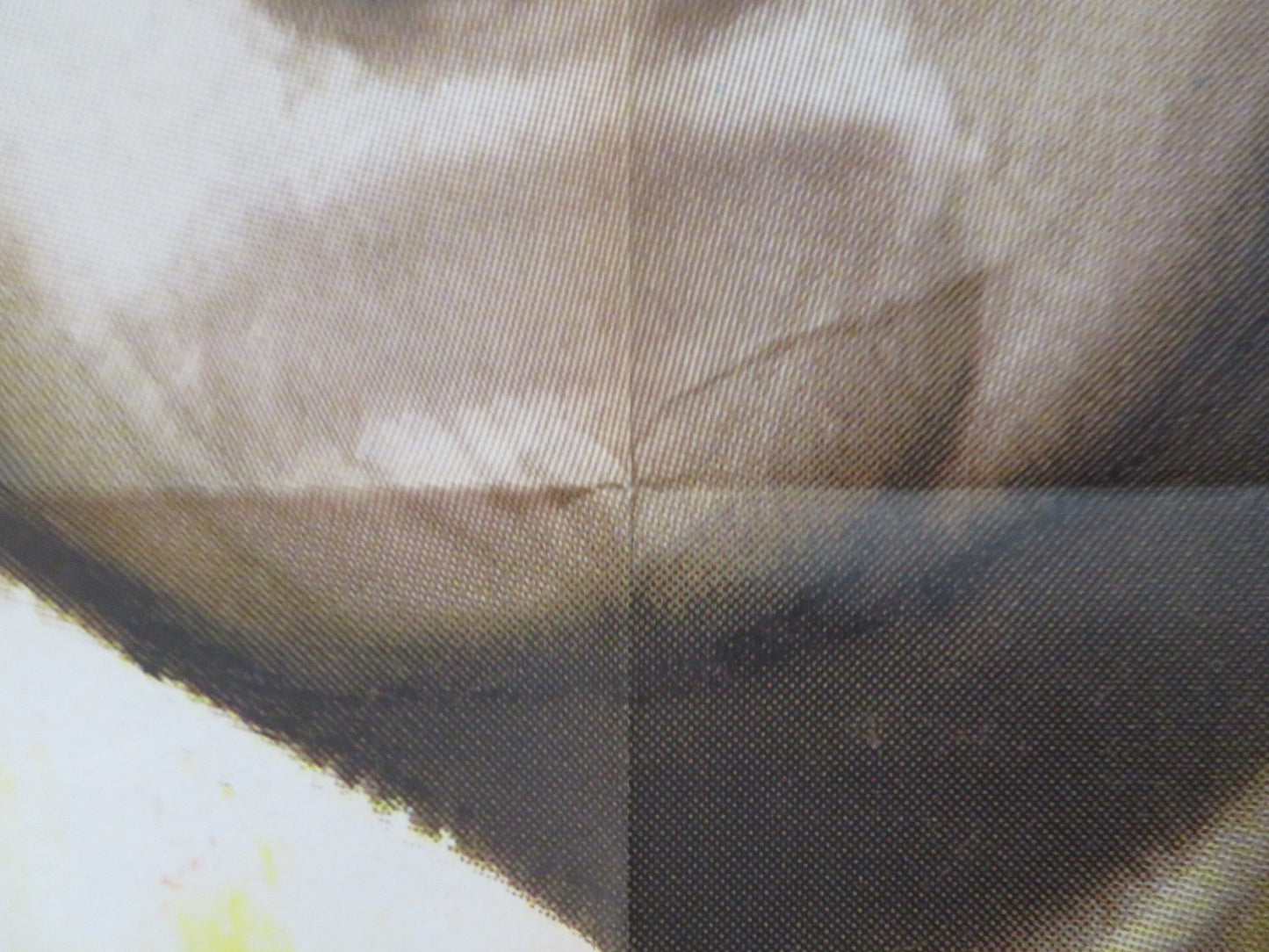 THE WORLD OF HENRY ORIENT FRENCH GRANDE POSTER PETER SELLERS A. LANSBURY 1964 Rendezvous Cinema Movie posters