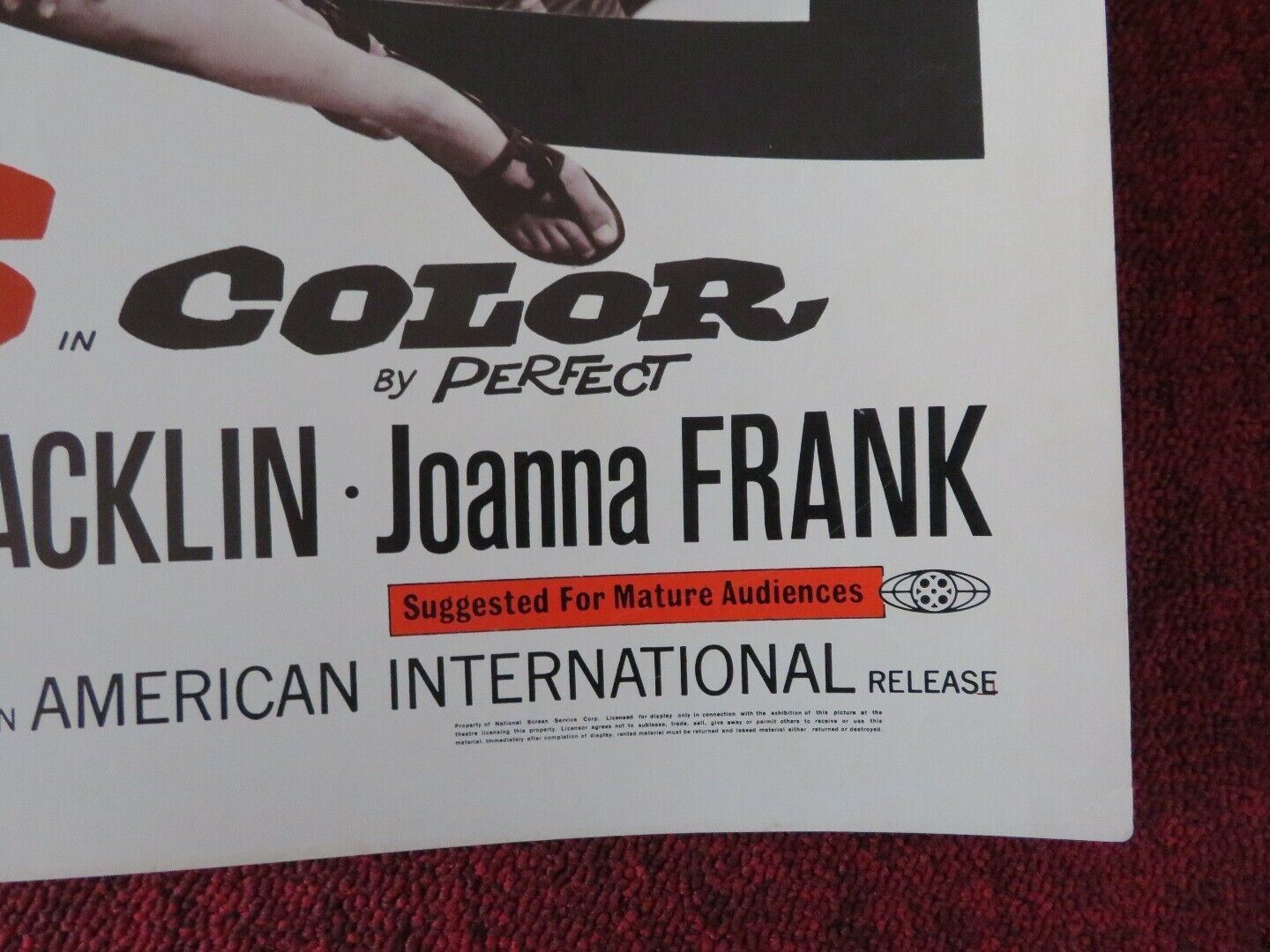 THE YOUNG ANIMALS US HALF SHEET (22"x 28") POSTER TOM NARDINI 1968 Rendezvous Cinema Movie posters