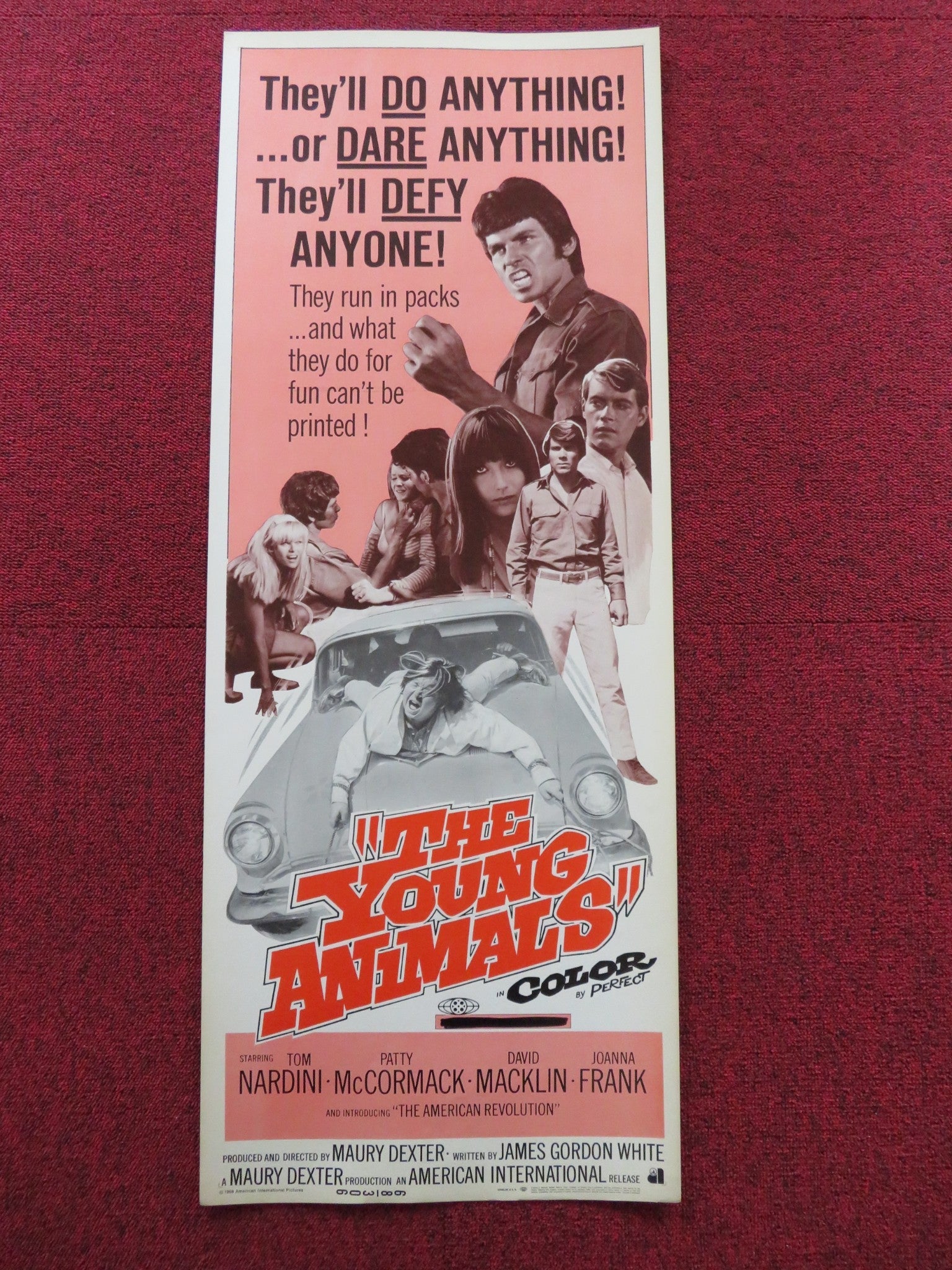 THE YOUNG ANIMALS US INSERT (14"x 36") POSTER TOM NARDINI PATTY MCCORMACK 1968 Rendezvous Cinema Movie posters