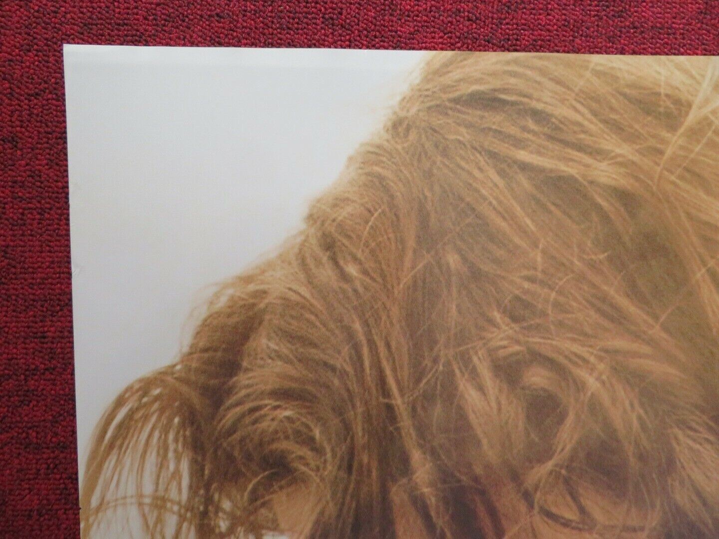 THE YOUNG MESSIAH US ONE SHEET ROLLED POSTER ADAM GREAVES - NEAL 2016 Movie posters