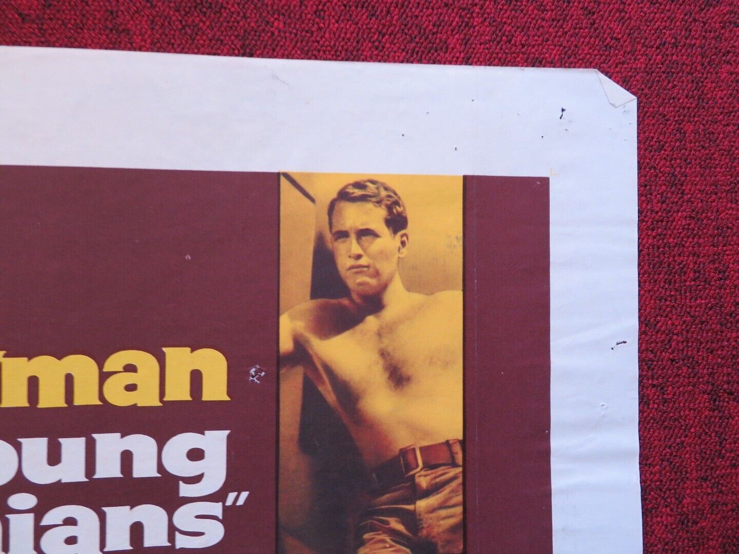 THE YOUNG PHILADELPHIANS FOLDED US ONE SHEET POSTER PAUL NEWMAN 1959 Movie posters