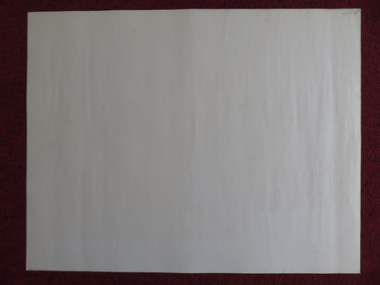 THE YOUNG RUNWAWAYS US HALF SHEET (22"x 28") POSTER BROOKE BUNDY K. COUGHLIN '68 Rendezvous Cinema Movie posters