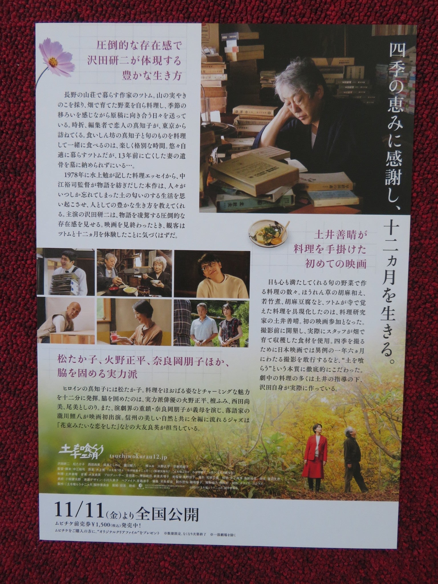 THE ZEN DIARY JAPANESE CHIRASHI (B5) POSTER FUMI DAN TAKAKO MATSU 2022 Rendezvous Cinema Movie posters