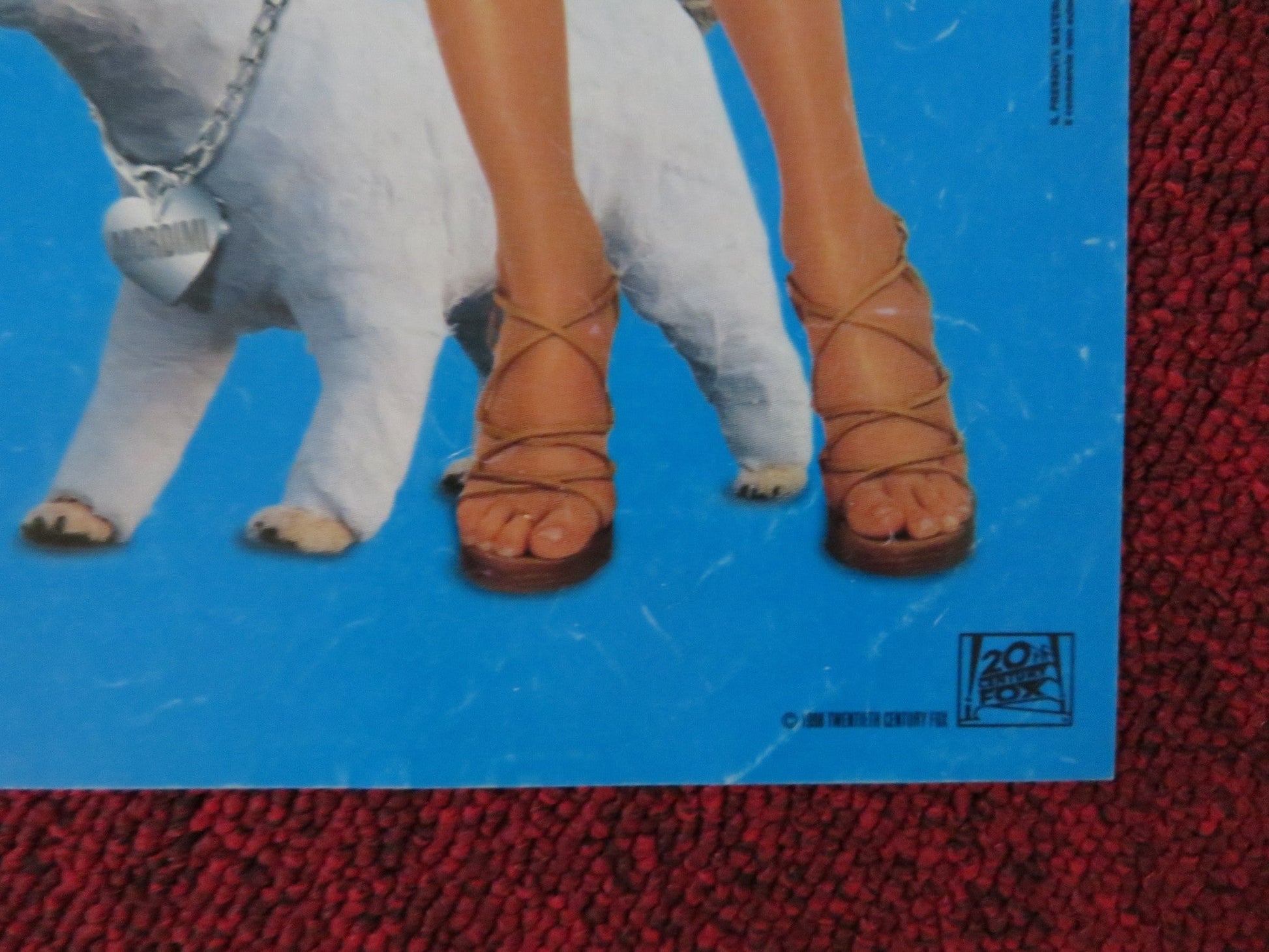 THERE'S SOMETHING ABOUT MARY ITALIAN FOTOBUSTA POSTER CAMERON DIAZ 1998 Rendezvous Cinema Movie posters