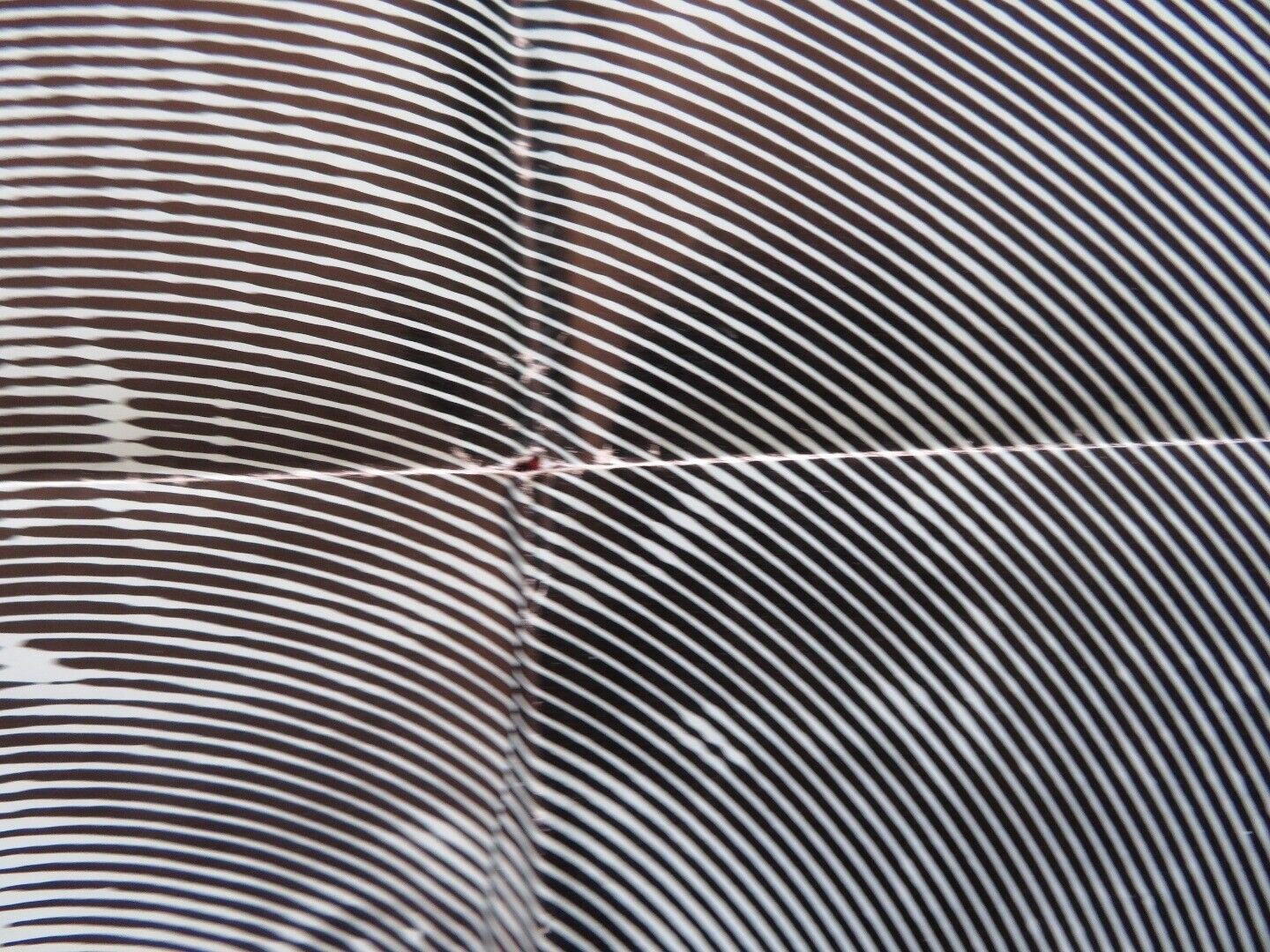 THEY CALL ME TRINITY FOLDED US ONE SHEET POSTER TERENCE HILL BUD SPENCER 1971 Movie posters