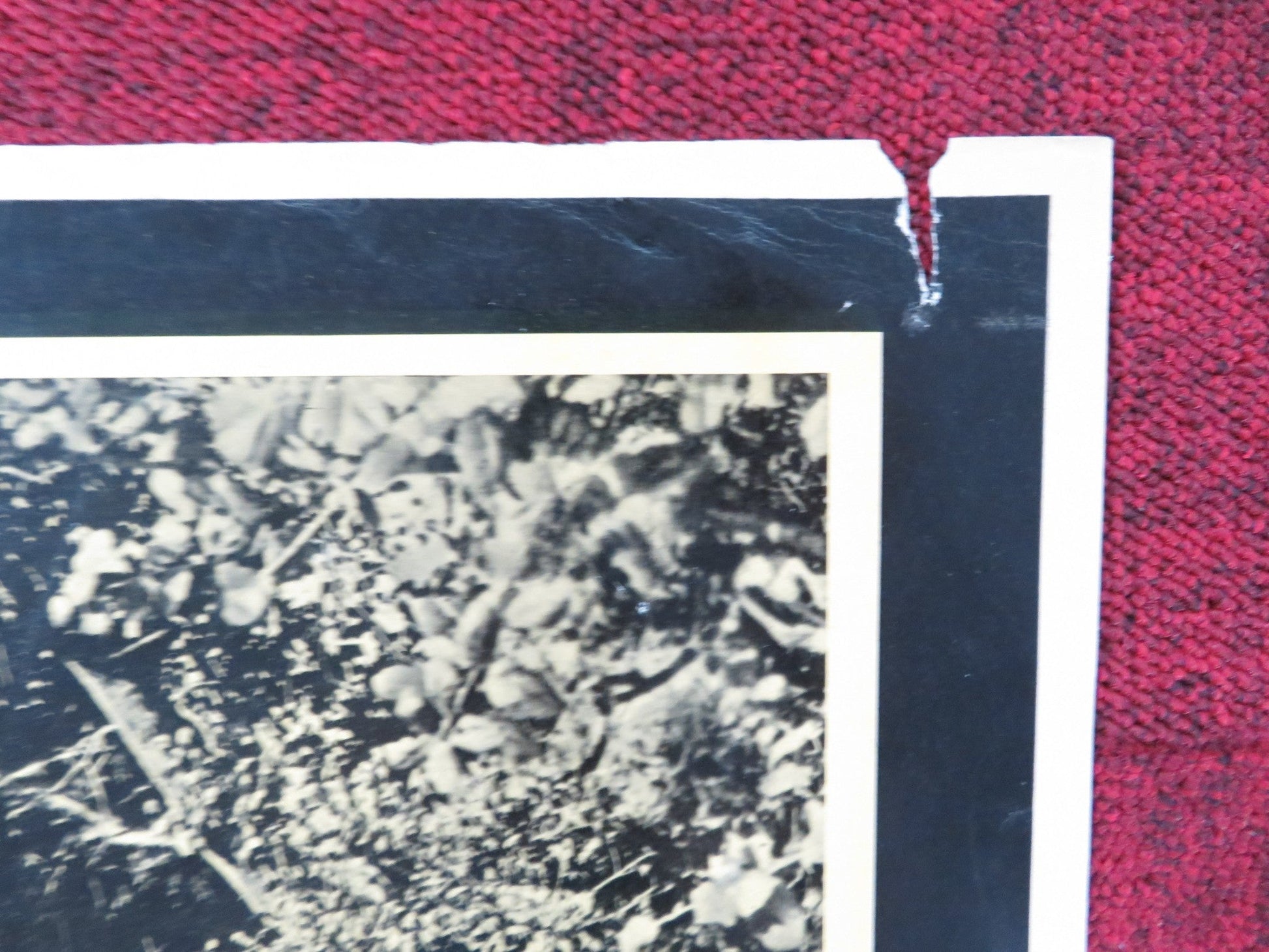 THEY RODE WEST ITALIAN FOTOBUSTA POSTER ROBERT FRANCIS DONNA REED 1954 Rendezvous Cinema Movie posters