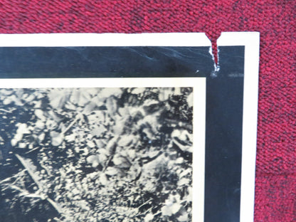 THEY RODE WEST ITALIAN FOTOBUSTA POSTER ROBERT FRANCIS DONNA REED 1954 Rendezvous Cinema Movie posters