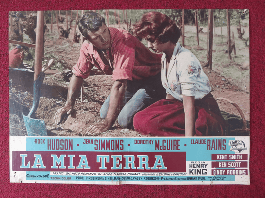 THIS EARTH IS MINE - B ITALIAN FOTOBUSTA POSTER ROCK HUDSON JEAN SIMMONS 1959 - Rendezvous Cinema