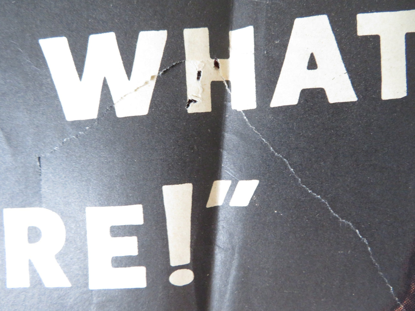 THIS IS MY LOVE FOLDED US ONE SHEET POSTER LINDA DARNELL RICK JASON 1954 Rendezvous Cinema Movie posters