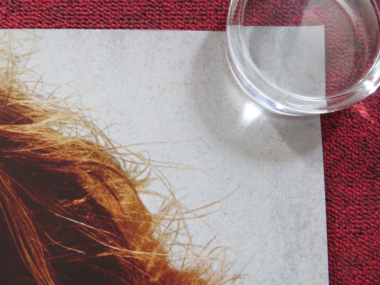 THREE BILLBOARDS OUTSIDE EBBING, MISSOURI UK QUAD ROLLED POSTER MCDORMAND 2017 Rendezvous Cinema Movie posters