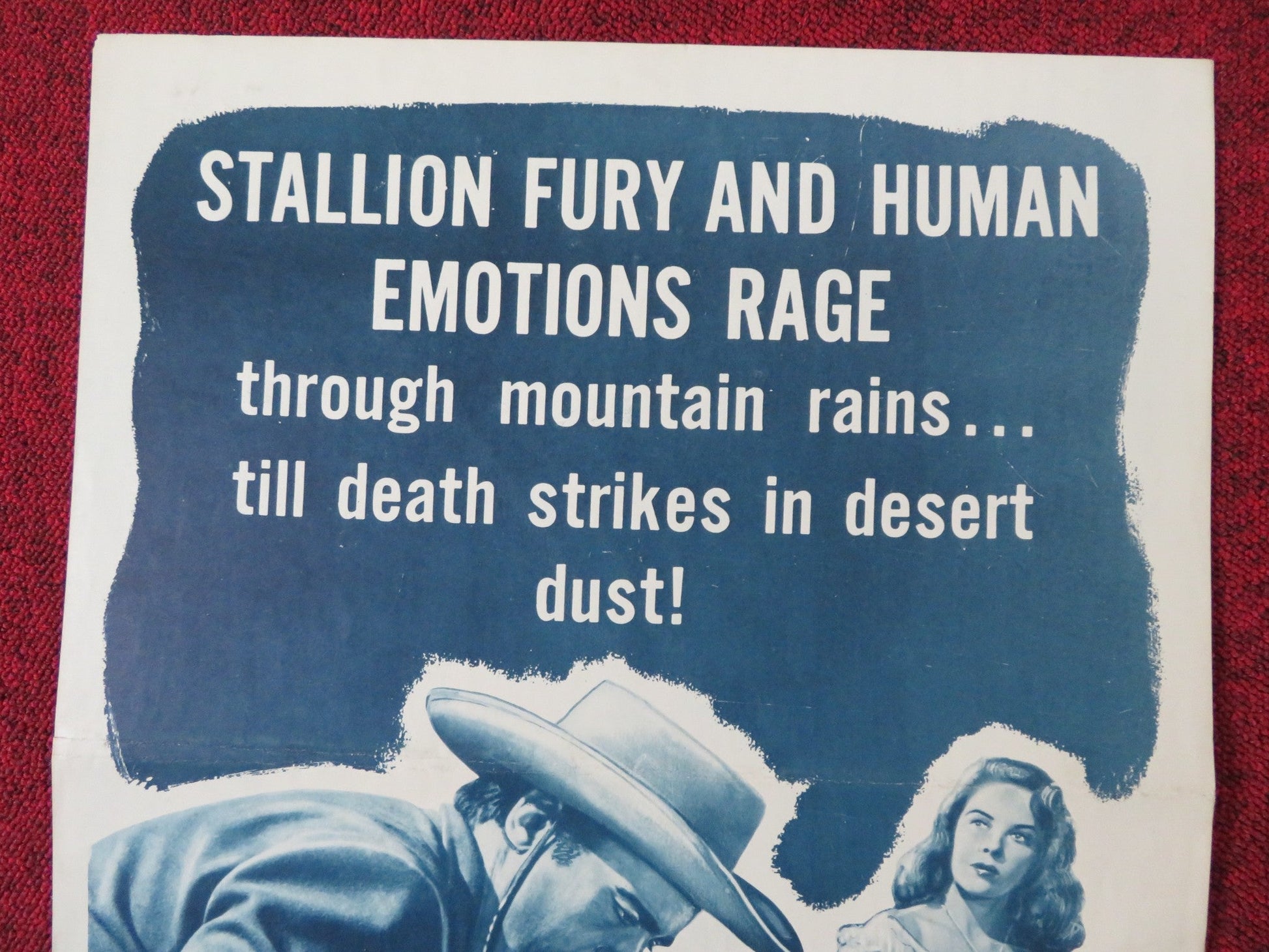 THUNDERHOOF US INSERT (14"x 36") POSTER PRESTON FOSTER MARY STUART 1953 Rendezvous Cinema Movie posters