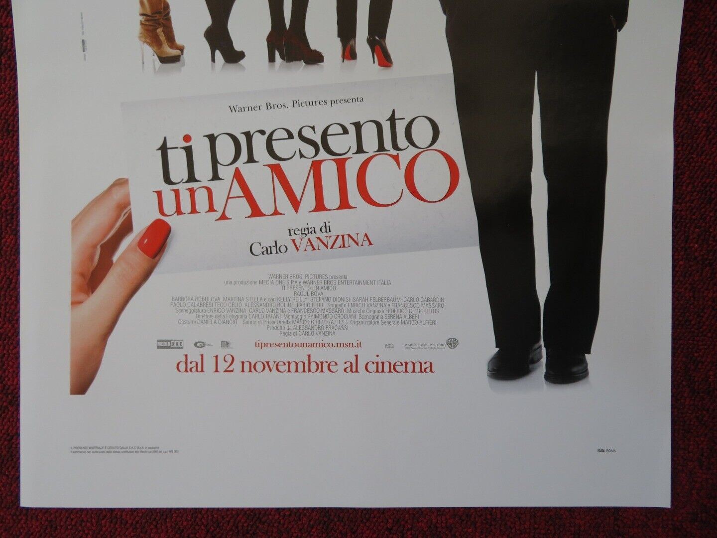 TI PRESENTO UN AMICO ITALIAN LOCANDINA (27.5"x13") POSTER BARBORA BOBULOVA 2010 Movie posters
