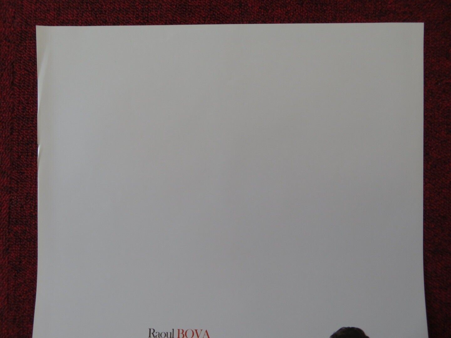 TI PRESENTO UN AMICO ITALIAN LOCANDINA (27.5"x13") POSTER BARBORA BOBULOVA 2010 Movie posters