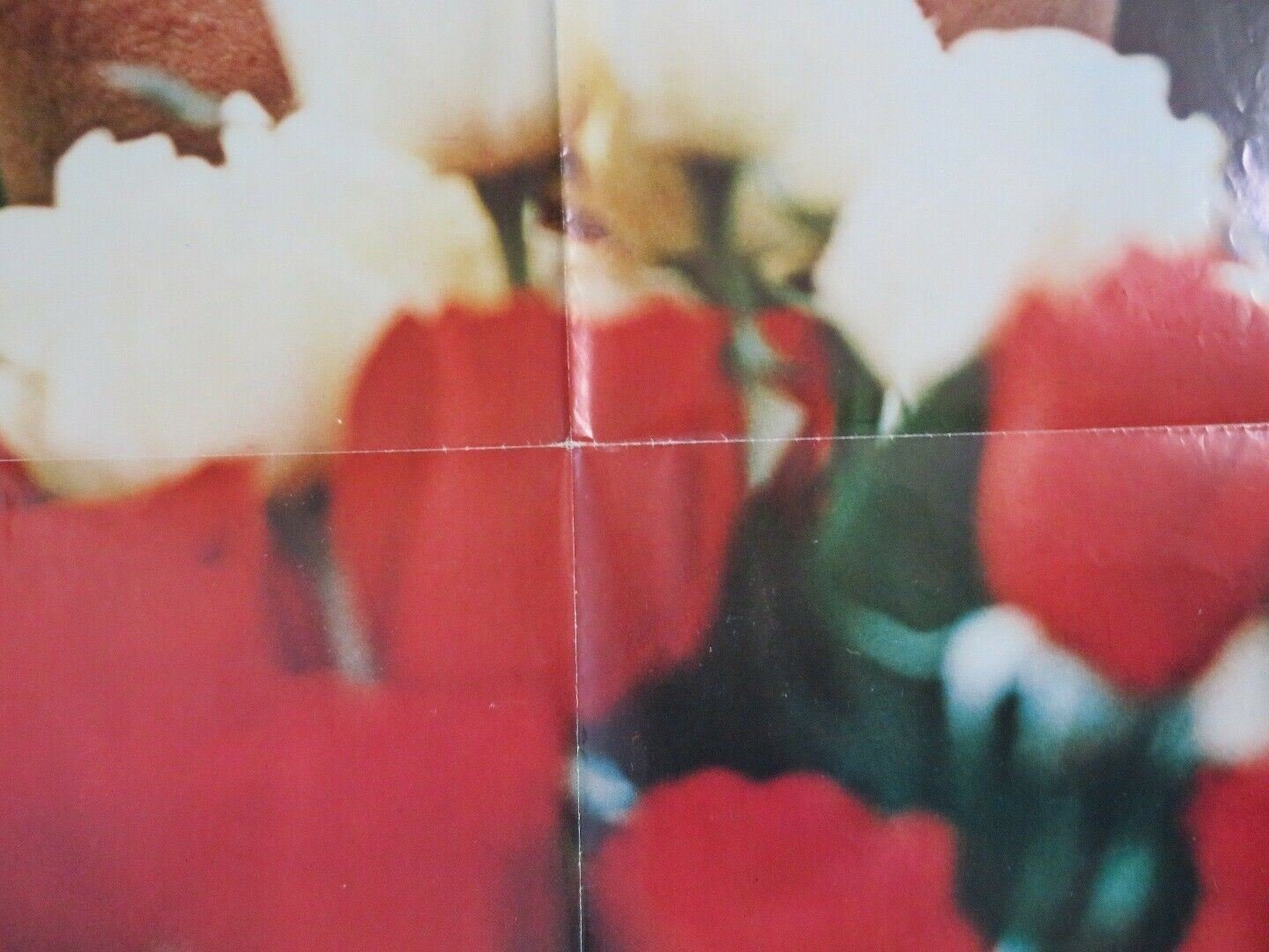 TICKET TO HEAVEN US ONE SHEET POSTER NICK MANCUSO SAUL RUBINEK 1981 Movie posters