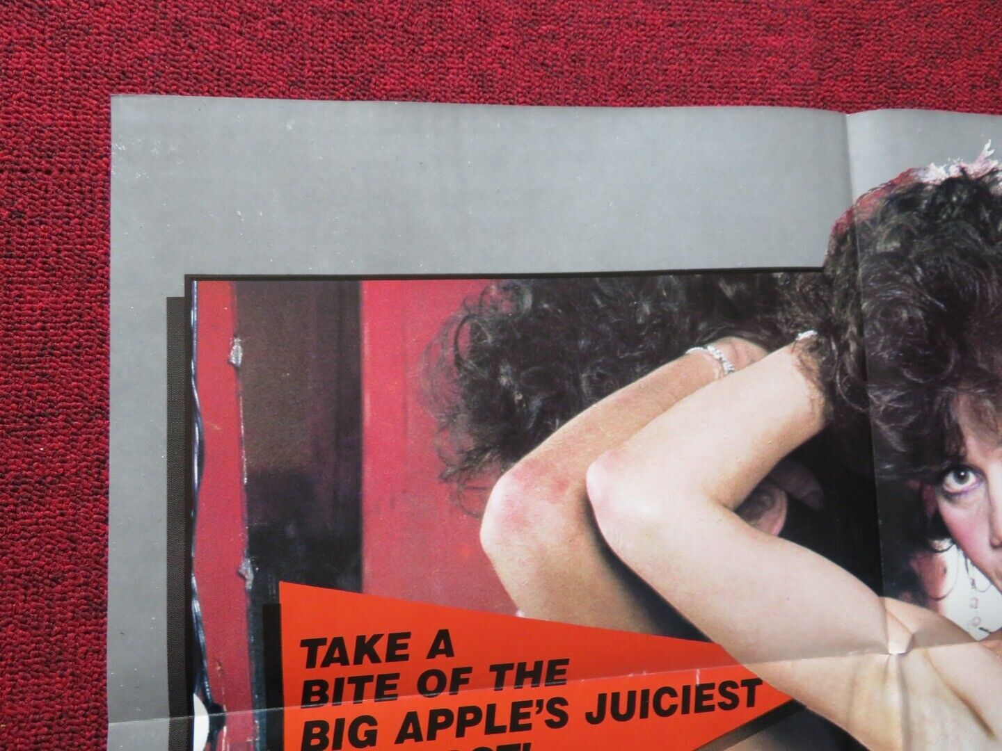 TIMES SQUARE COMES ALIVE FOLDED US ONE SHEET POSTER VERONICA VERA NIKKI WRIGHT - Rendezvous Cinema