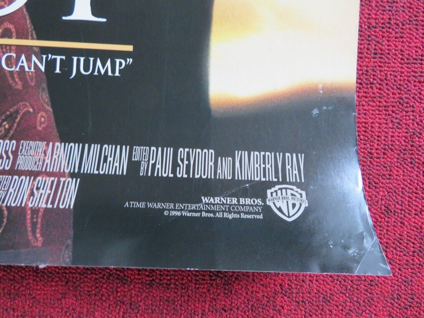 TIN CUP US ONE SHEET ROLLED POSTER KEVIN COSTNER RENE RUSSO 1996 Movie posters