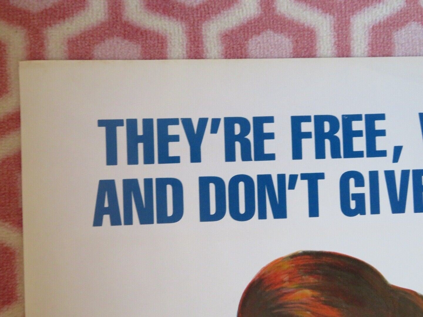 TOM CATS FOLDED US ONE SHEET POSTER CHRIS MULKEY POLLY KING SCOTT LAWRENCE 1977 Movie posters