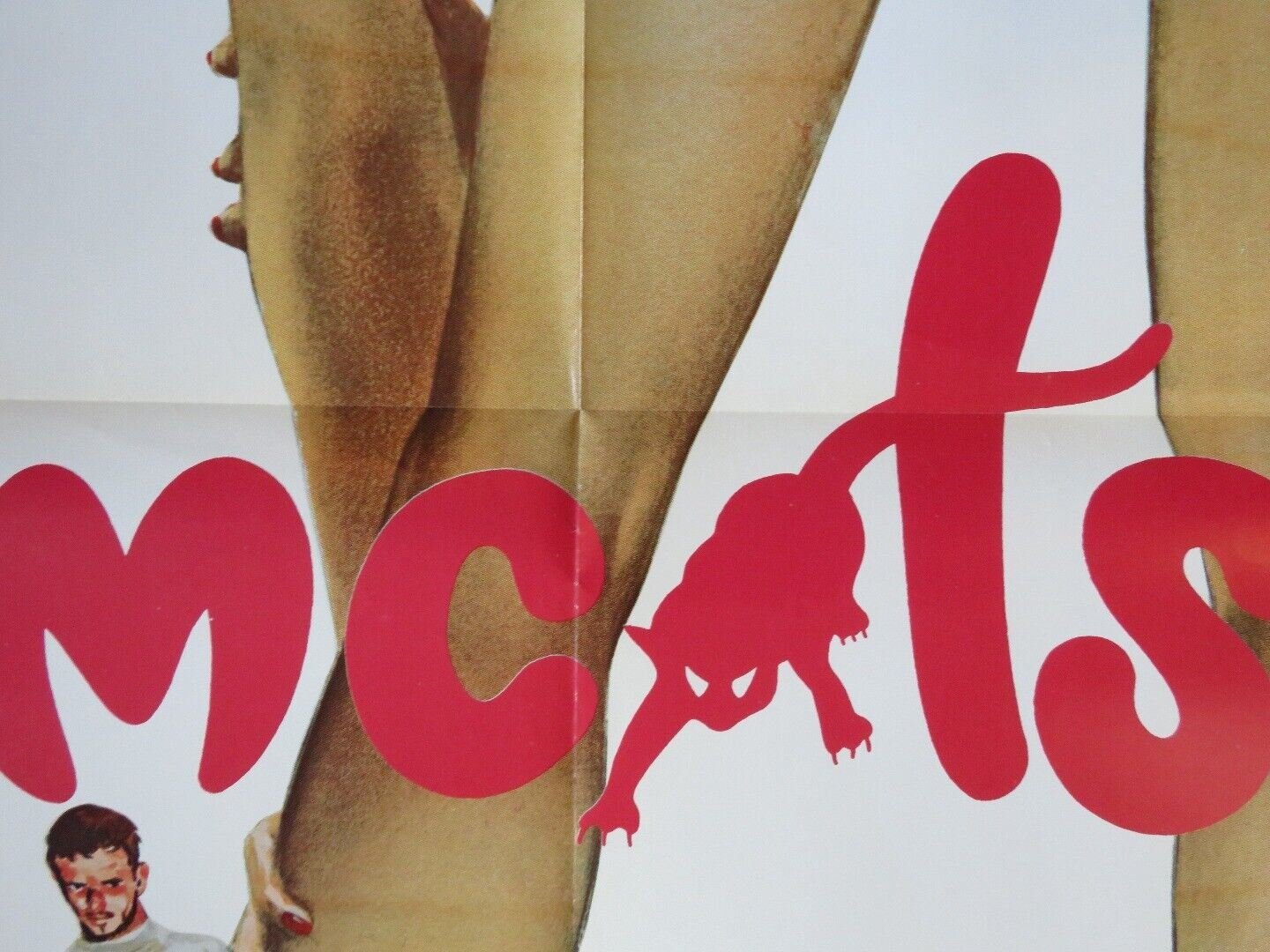 TOM CATS FOLDED US ONE SHEET POSTER CHRIS MULKEY POLLY KING SCOTT LAWRENCE 1977 Movie posters