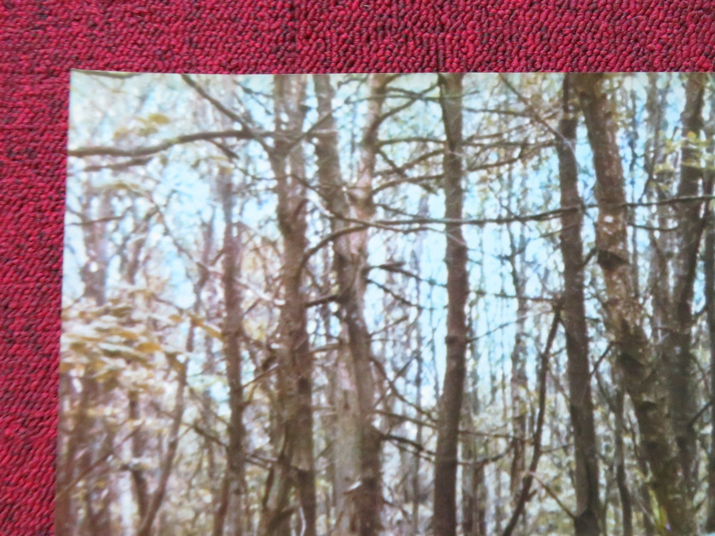 TOM THUMB - H ITALIAN FOTOBUSTA POSTER MARIE LAFORET JEAN PIERRE MARIELLE 1972 Rendezvous Cinema Movie posters