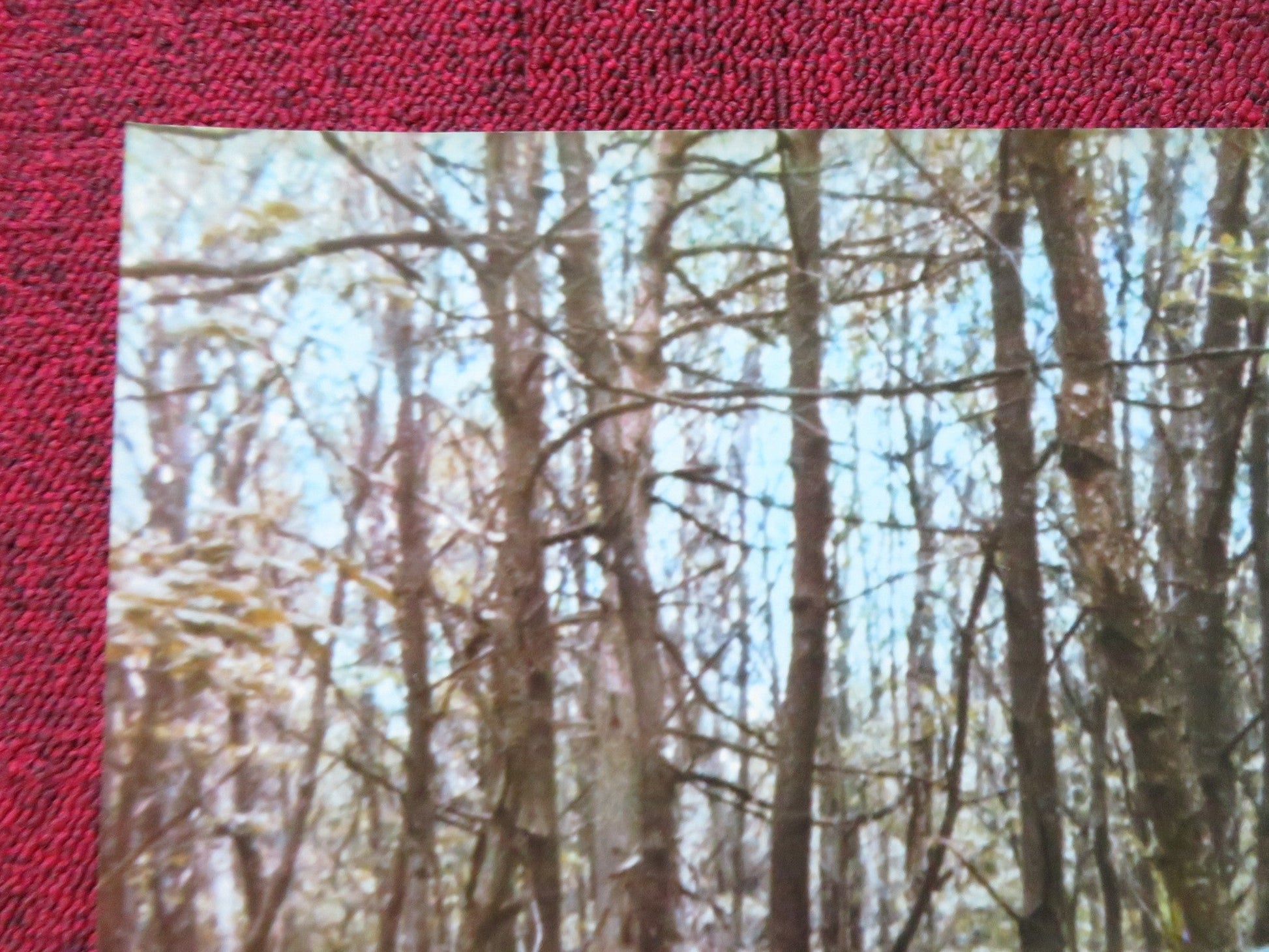 TOM THUMB - H ITALIAN FOTOBUSTA POSTER MARIE LAFORET JEAN PIERRE MARIELLE 1972 Rendezvous Cinema Movie posters