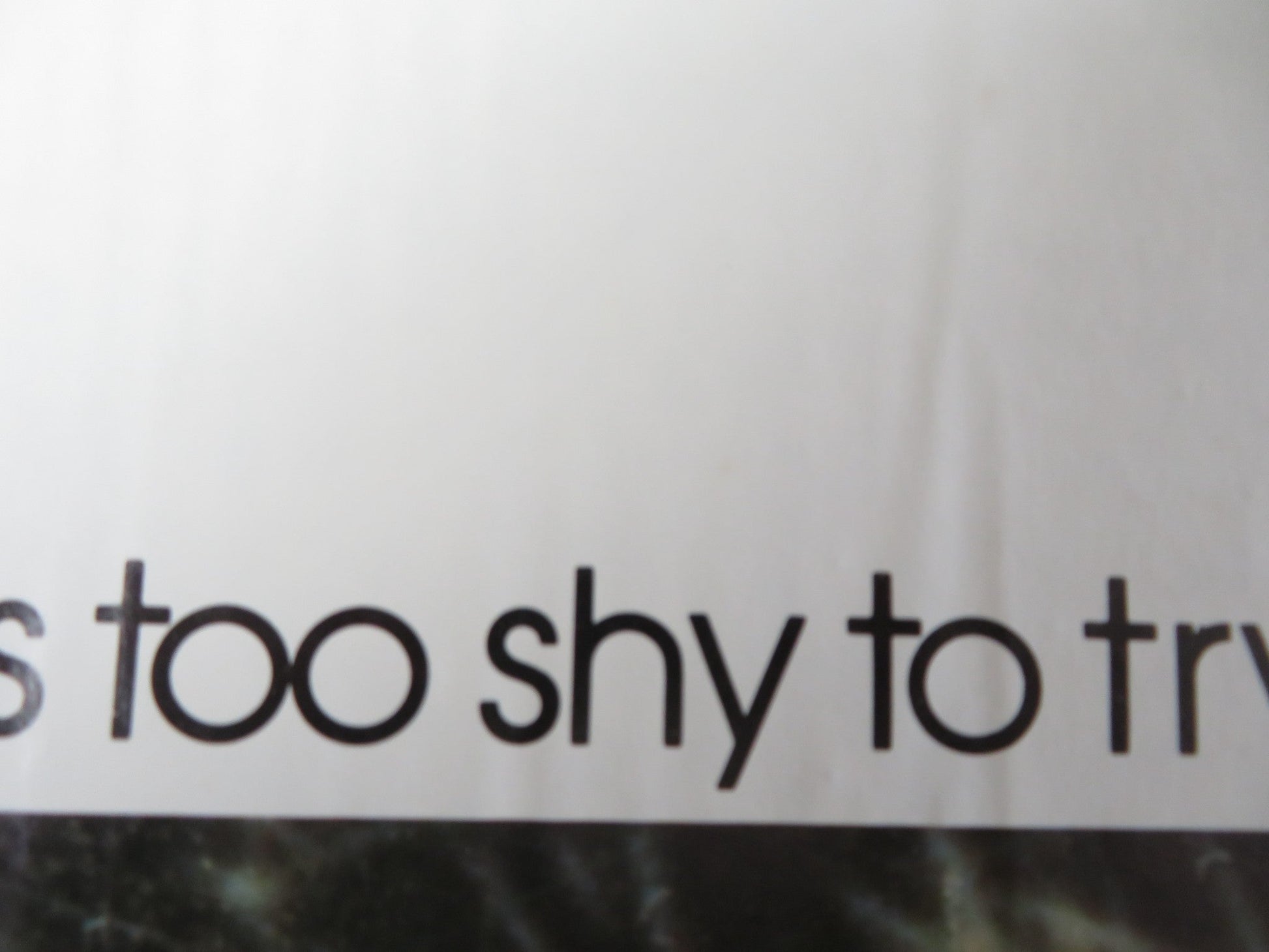 TOO SHY TO TRY FOLDED US ONE SHEET POSTER PIERRE RICHARD ALDO MACCIONE 1978 Rendezvous Cinema Movie posters