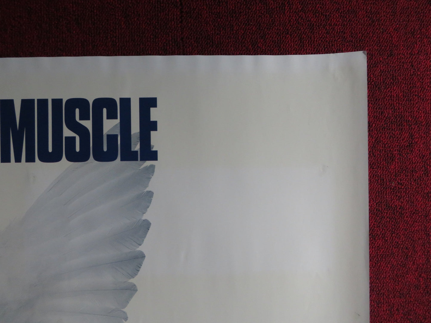 TOOTH FAIRY UK QUAD (30"x 40") ROLLED POSTER DWAYNE JOHNSON ASHLEY JUDD 2010 Rendezvous Cinema Movie posters