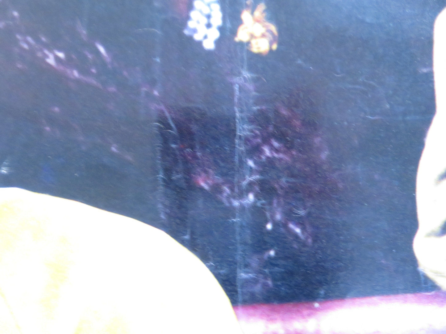 TORN CURTAIN - E ITALIAN FOTOBUSTA POSTER HITCHCOCK PAUL NEWMAN J. ANDREWS 1966 Rendezvous Cinema Movie posters