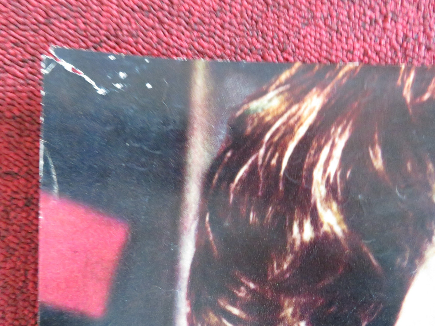 TORN CURTAIN - E ITALIAN FOTOBUSTA POSTER HITCHCOCK PAUL NEWMAN J. ANDREWS 1966 Rendezvous Cinema Movie posters