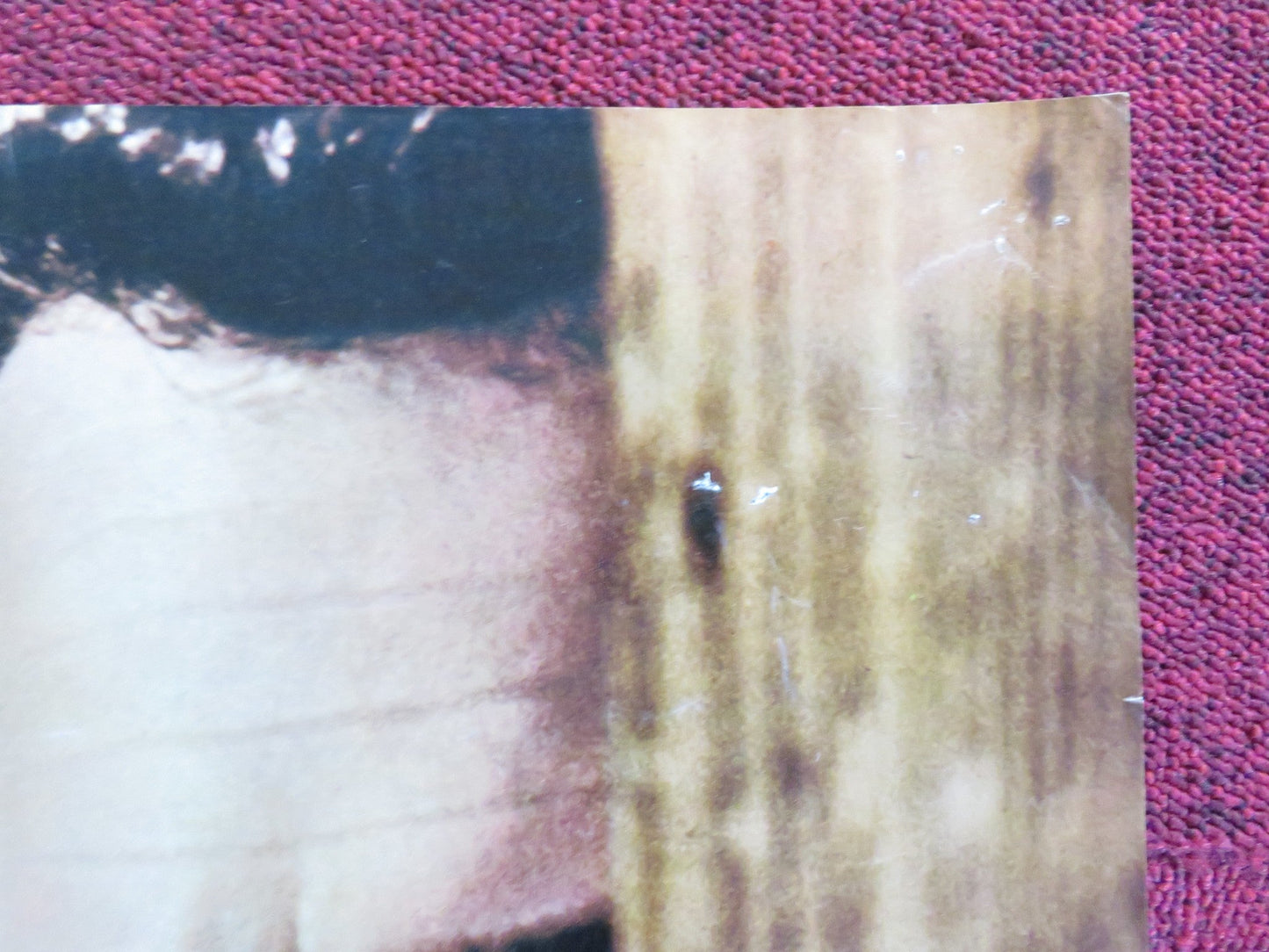 TORN CURTAIN - I ITALIAN FOTOBUSTA POSTER HITCHCOCK PAUL NEWMAN J. ANDREWS 1966 Rendezvous Cinema Movie posters