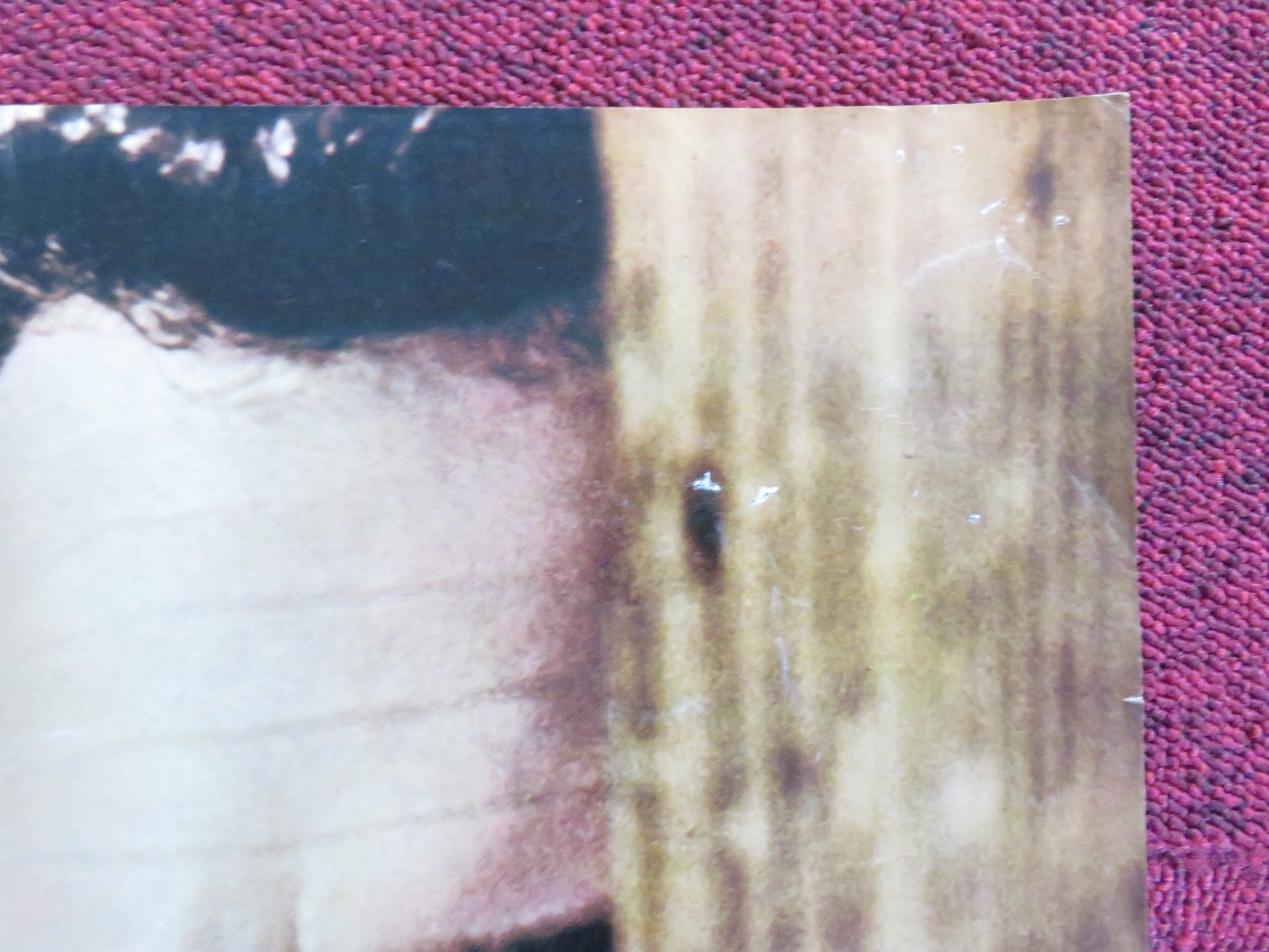 TORN CURTAIN - I ITALIAN FOTOBUSTA POSTER HITCHCOCK PAUL NEWMAN J. ANDREWS 1966 Rendezvous Cinema Movie posters